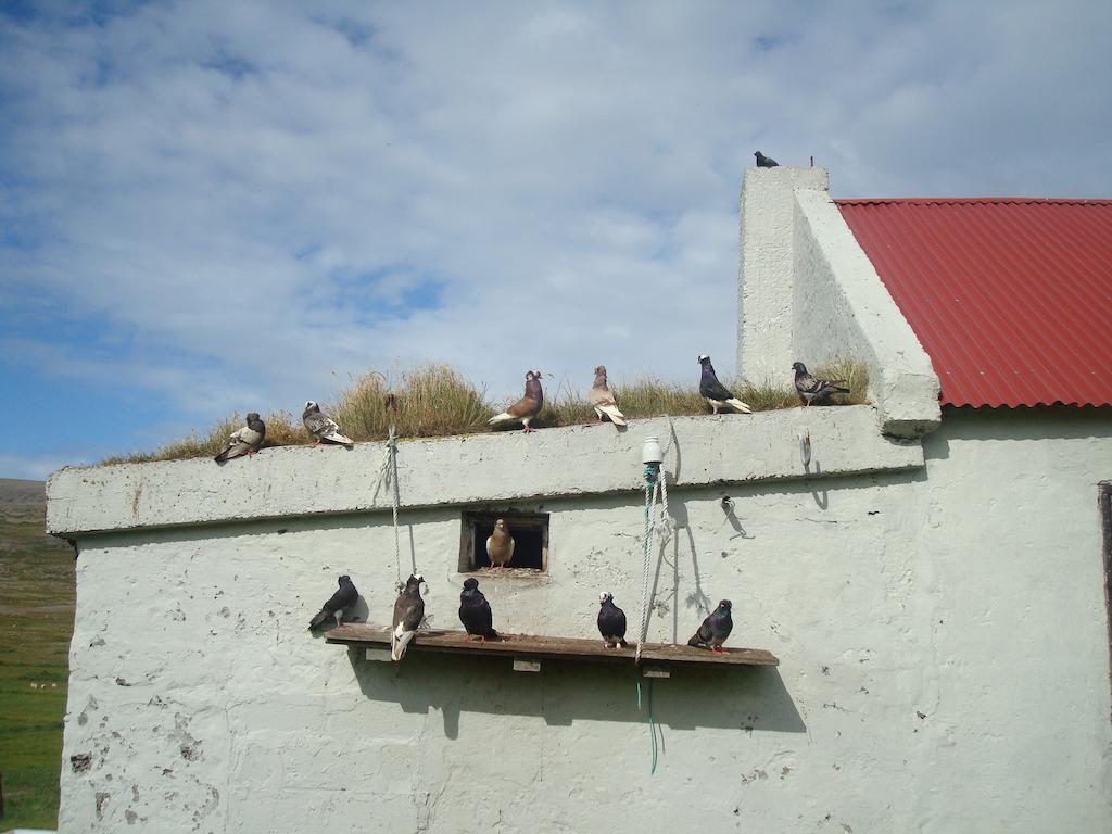 Haenuvik Cottages Hnjotur Dış mekan fotoğraf